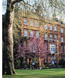 The Draycott
