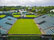 Wimbeldon courts